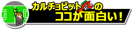 カルチョビットＡとは