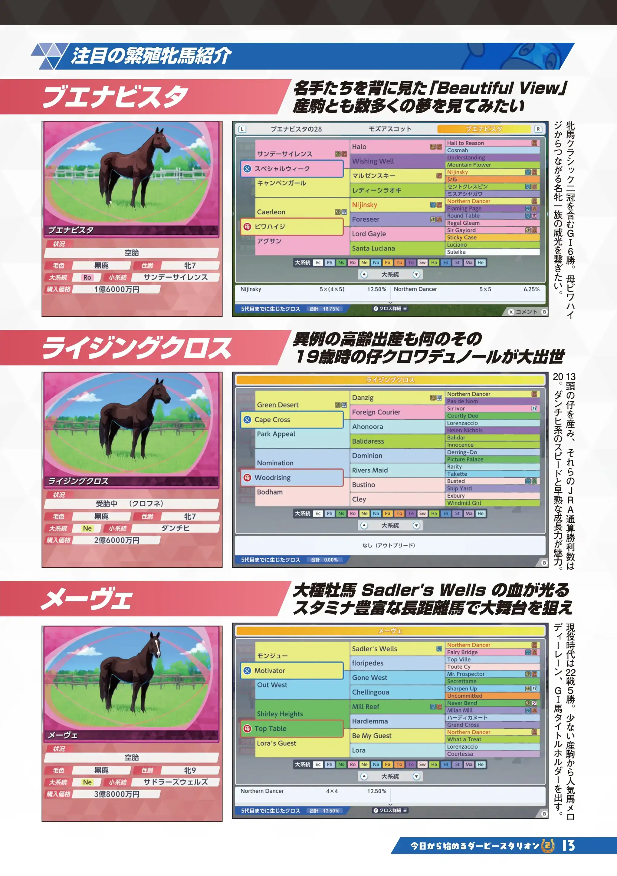 ダービースタリオン2 特別号 13ページ