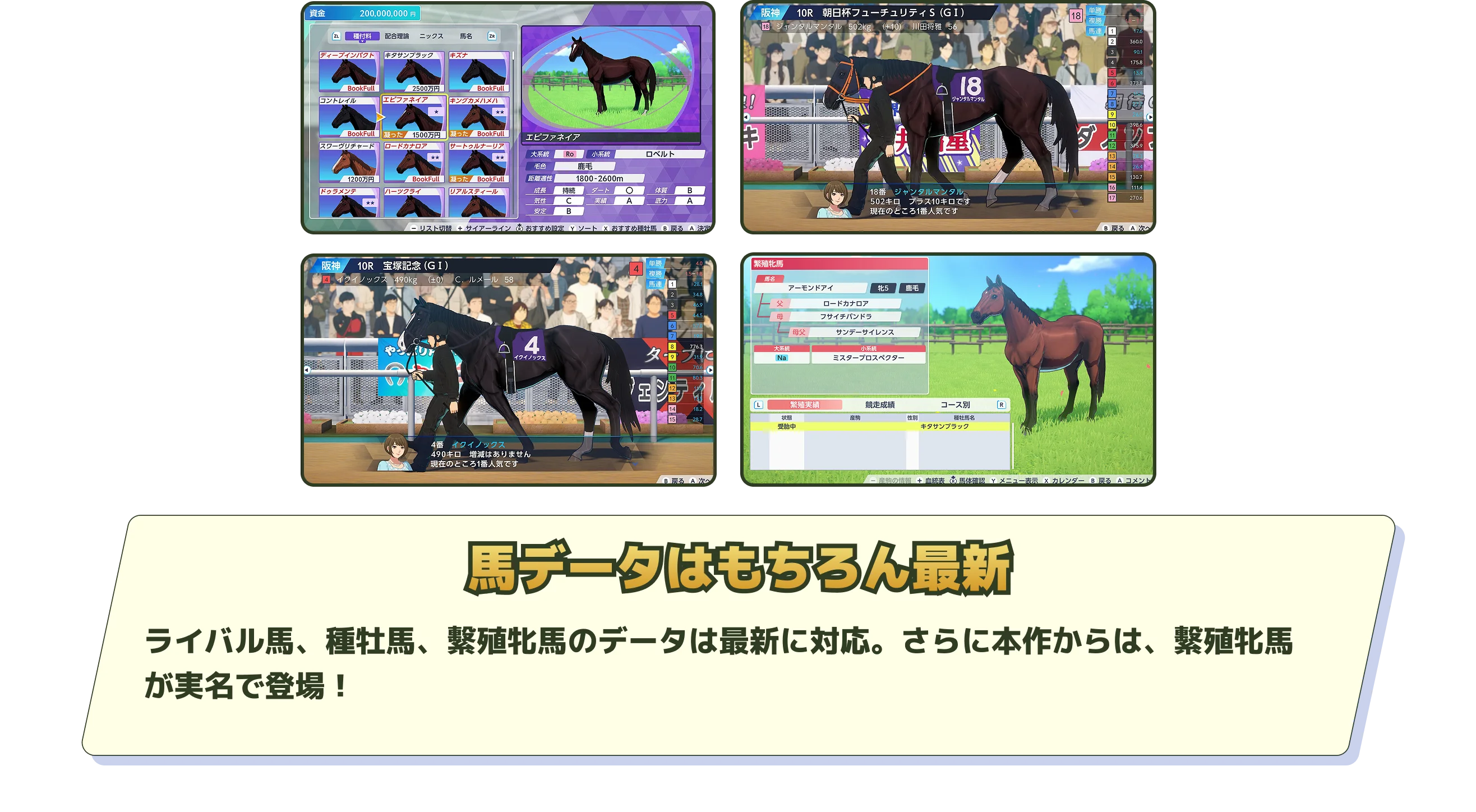 愛馬、繫殖馬がカードに